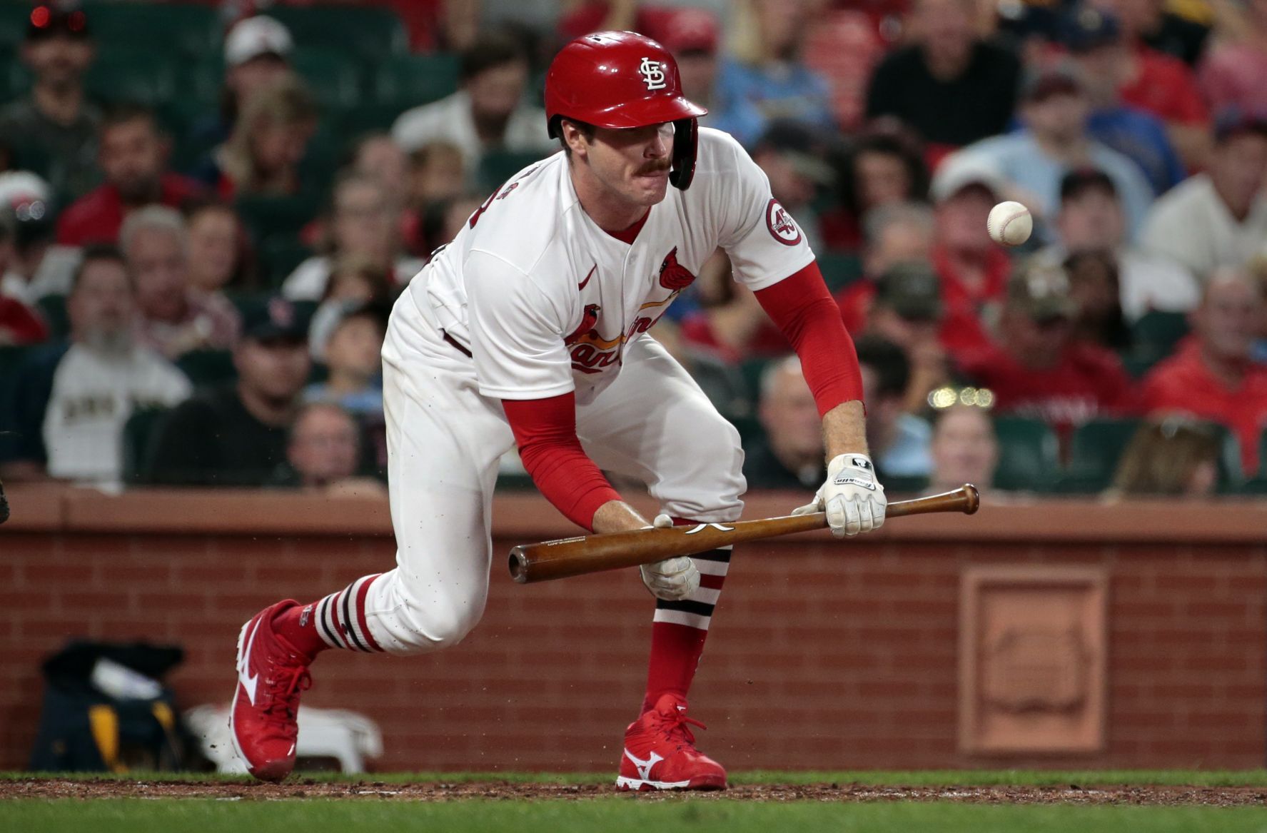 Cardinals, Brewers play second game of home stand